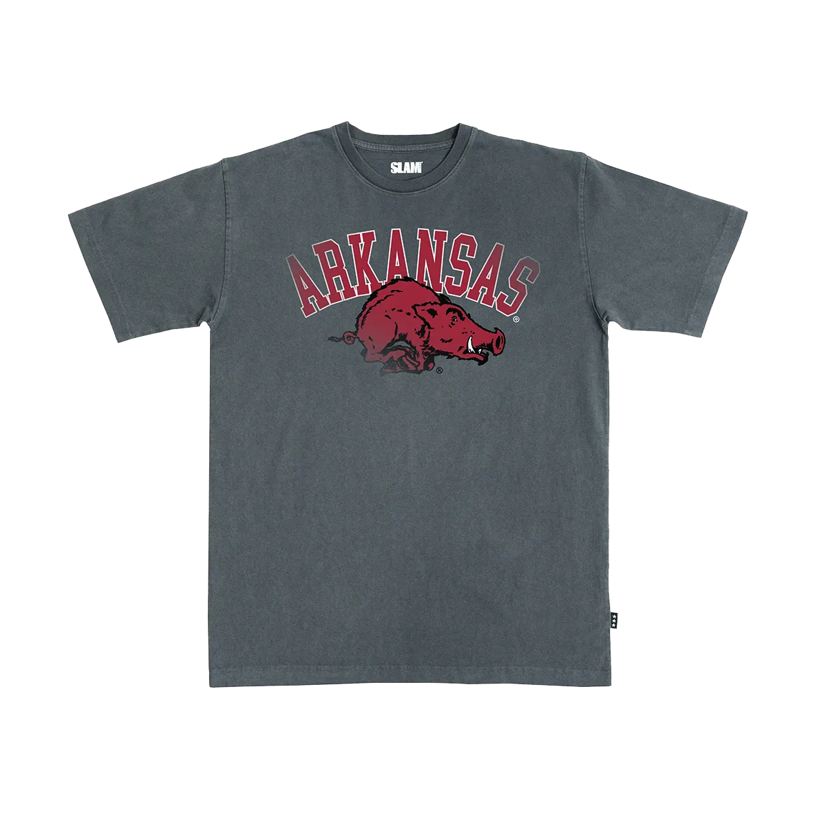 Arkansas Big Logo Heavy Tee