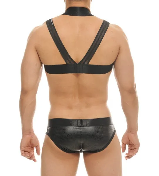 DEFY HARNESS