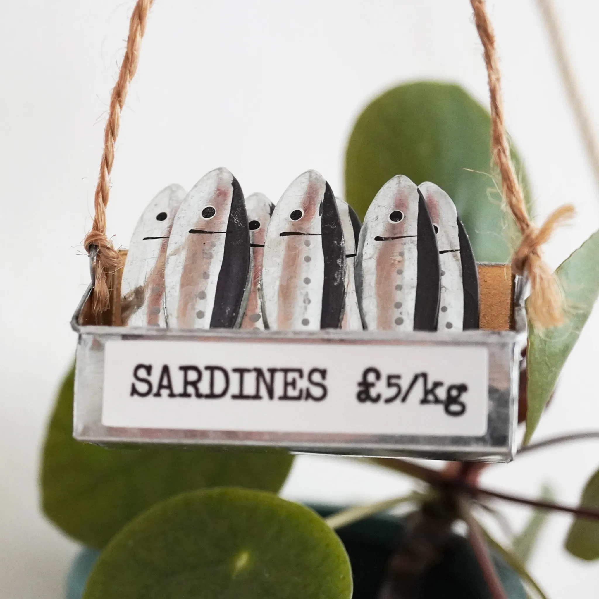 Hanging Crate of Sardines