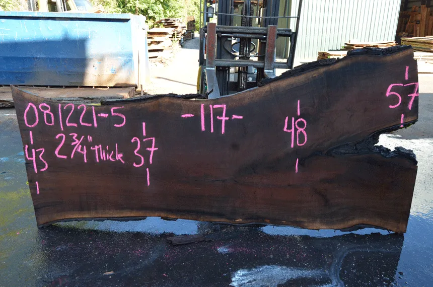 Oregon Black Walnut 081221-05