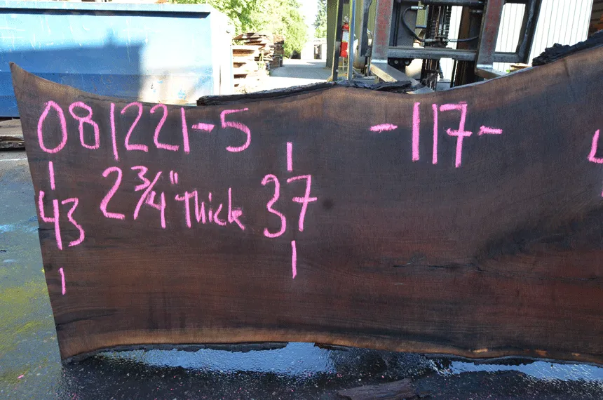 Oregon Black Walnut 081221-05