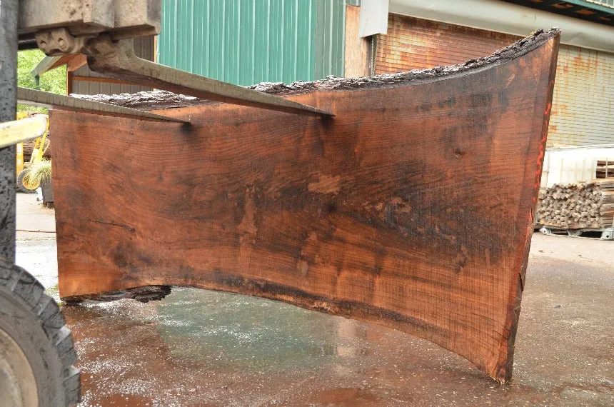 Oregon Black Walnut Slab 070122-06