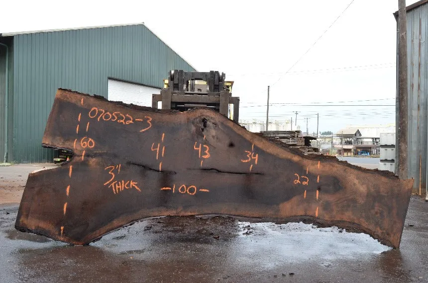 Oregon Black Walnut Slab 070522-03